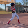 Prolete Overload Swing Trainer