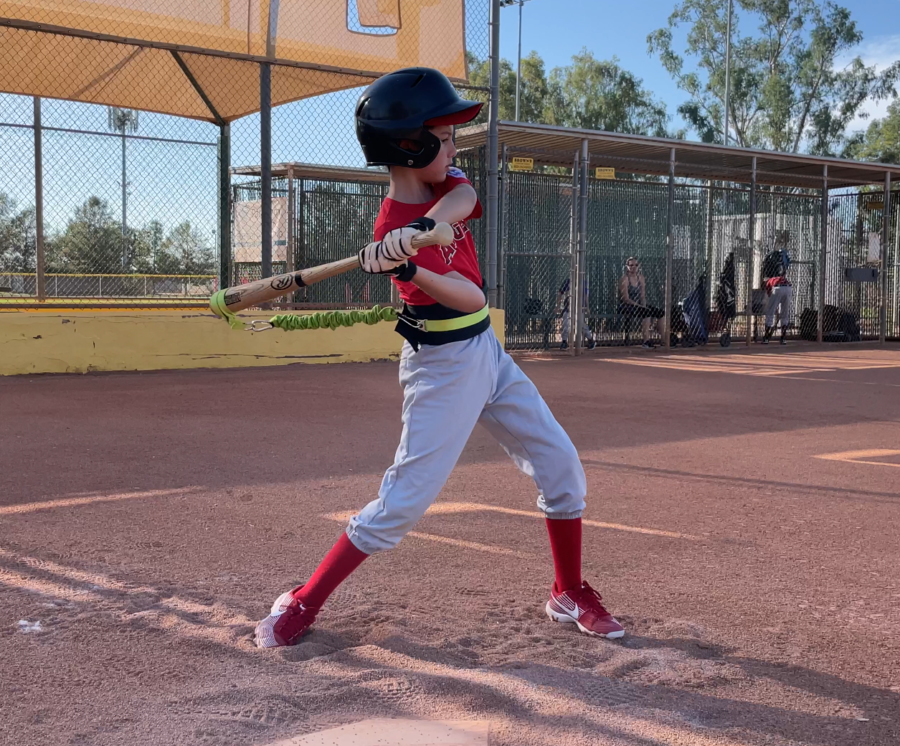 Prolete Overload Swing Trainer Prolete Athletics