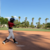 Prolete Overload Swing Trainer
